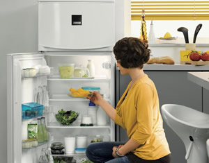 扎努西 zanussi 冰箱